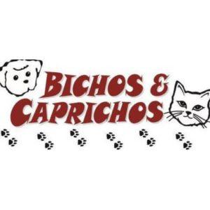 BICHOS E CAPRICHOS